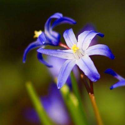 天天中彩票Welcome在线购彩