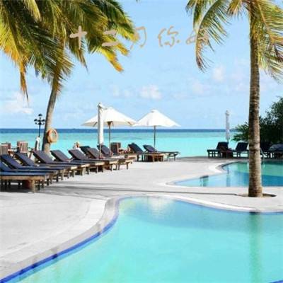 大发黄金版app下载下载手机版