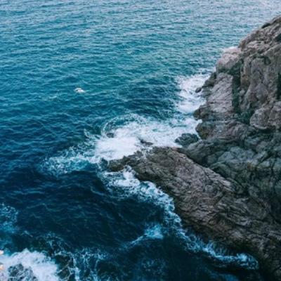 真人斗牛牛最新版