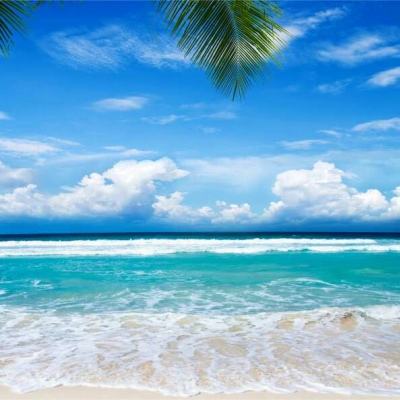 万博全站APP最新版