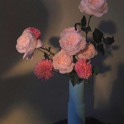 leyu乐鱼·体育app下载