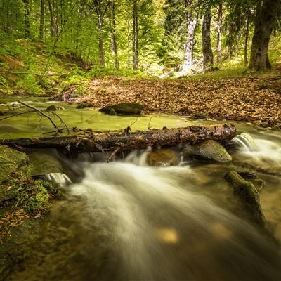 狗万官网下载手机版