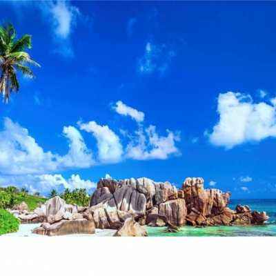 4949澳门免费资料大全app下载