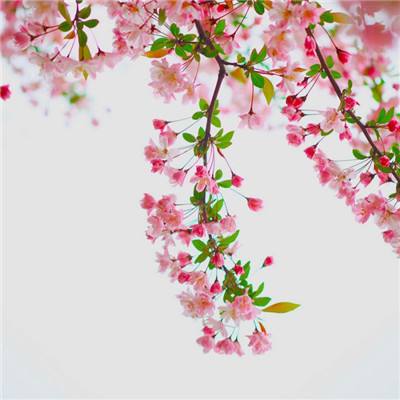 ayx体育在线登录